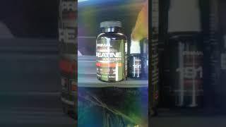 Primal muscle review