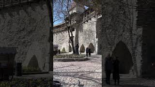 BalticTour Danish Kings Garden in Tallinn  발트여행 덴마크왕의 정원 #shorts #최대석가이드