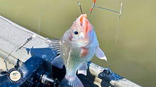 Fishing Spots Secrets To Find & Catch Loads Of White Perch