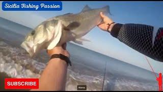 Una bellissima SPIGOLONA pescata a spinning. FISHING ALLA SPIGOLA. SICILIA FISHING PASSION