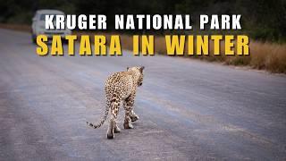 Ep 5  SELF DRIVE SAFARI in KRUGER NATIONAL PARK  Day 6 – Lower Sabie to Satara