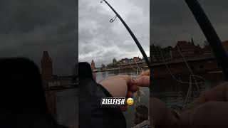 Streetfishing auf Hering ? Gewinnspiel 