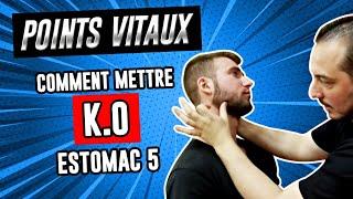 Comment faire un KO avec le POINT DE PRESSION Estomac 5 Kyusho Jitsu