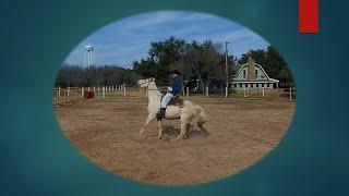 《德州華裔牛仔》学骑马第6集 – 正确使用缰绳及骑马坐姿（初，中级）