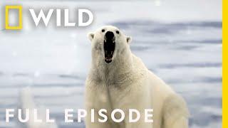 We were being hunted... Full Episode  Something Bit Me  Nat Geo WILD