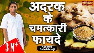 Miraculous medicinal properties of ginger. Benefits of Adrak Acharya Balkrishna Ayurveda In Hindi  Sanskar TV