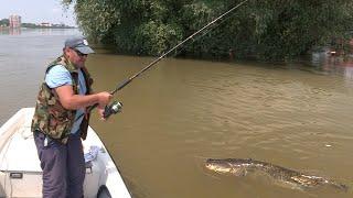 Pecanje soma na Dunavu i bele ribe reci Vuki u Hrvatskoj - Dubinsko pecanje  Fishing catfish