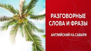 РАЗГОВОРНЫЕ СЛОВА И ФРАЗЫ для начинающих Учим английский. Английские слова для детей