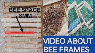 Apis cerana bees frames ISI size Newton Hive dimensions of bee frames #apiscerana #honey