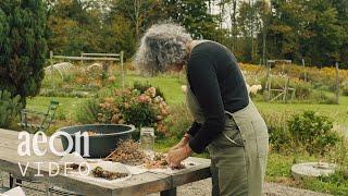 The rhythms and splendor of life on a flower farm  The Flower Farmers Year