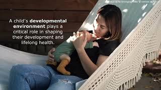 Developmental Environments