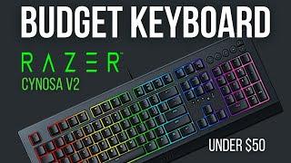 Best Keyboard Under $50?