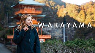 Wakayamas Hidden Gems and How To See Them