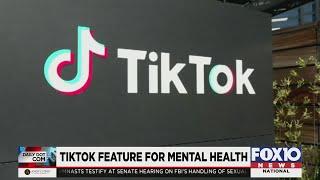 TikTok rolls out support to combat suicide searches