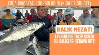 Levrekler ve İstavritler yarıştı Foça Ramazan ile röportaj 05.06.2024 #balık #mezat #balıkmezatı