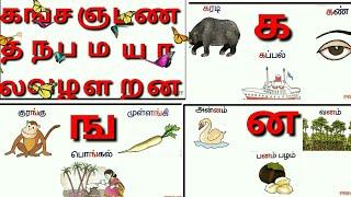 உயிர் மெய் எழத்துக்கள்Tamil AlphabetsUyir Mei ezhuth ka varisaiக ங ச ka varisai sorkkalprinit