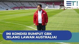 INI KONDISI RUMPUT GBK JELANG LAWAN AUSTRALIA