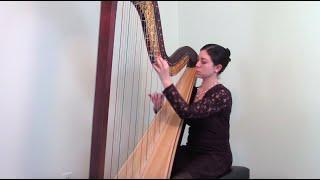 Fantaisie sur un theme de Haydn op. 31 by Marcel Grandjany