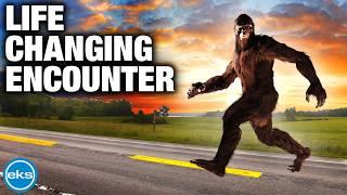 Bigfoot Sighting In New York An Unforgettable Encounter