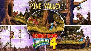 DKC4 - Pine Valley