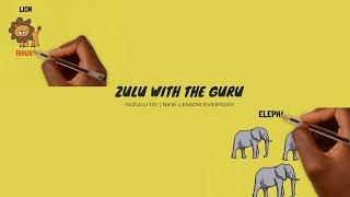 The undisputed way to learn isiZulu on YouTube with Zulu With The Guru Wildlife Part 1