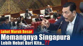 Saat Luhut BP Geram.  Memangnya Singapura Lebih Hebat Dari Kita.