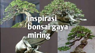 inspirasi bonsai gaya miring