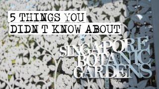 Singapore Botanic Gardens 5 Things You Didnt Know  CNA Insider