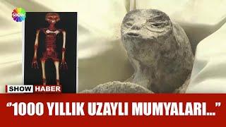 Bu fosiller uzaylılara mı ait?