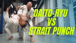 Daito-ryu techniques vs straight punch