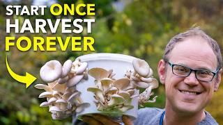 How To Grow Mushrooms in a Bucket