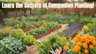 Unleash The Power Of Nature Mastering Companion Planting For Pest Control