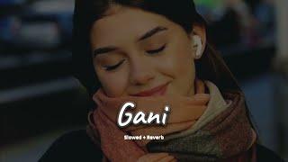 Gani slowed + reverb- Akhil  new Punjabi song 2024  Anjali music l #Lofisong