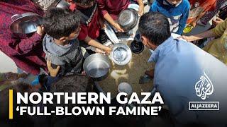 Northern Gaza in ‘full-blown famine’ UN food agency chief says