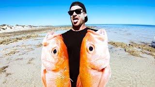 GIANT FISH IN A CLEAR WATER PARADISE Camp Fire Catch And Cook - Ep 121