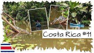 Mit dem Kajak auf der Suche nach Kaimanen • Tortuguero  Costa Rica Reise 11