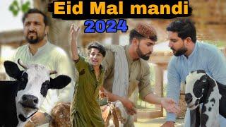 Eid mal mandi 2024  pashto new funny video  Zindabad vines 2024