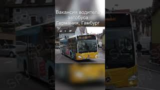 Вакансия Водитель АвтобусаГермания #работа_германия_spj #работа_ес #shortsvideo