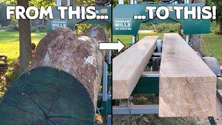 Milling Boards from an Old Ash Tree