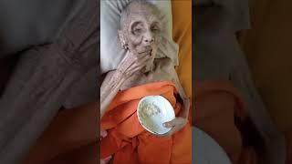 oldest human in the world 399 years old alive viral video  Hottest News