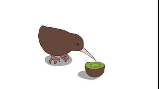 Kiwi eats a kiwi Animation test