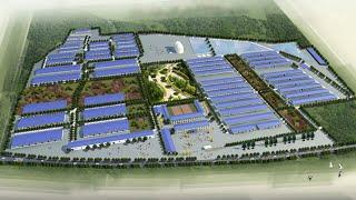 Design and construction of pig farm project in China - GREAT FARM