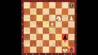 Chess for Beginners. Mating Patterns #13. Eugene Grinis. Chess