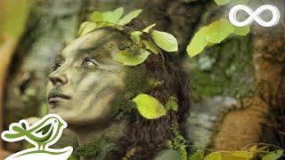 Dance of Life Relaxing Celtic Music for Meditation & Sleep by Peder B. Helland