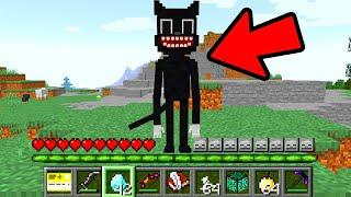 HOW TO PLAY MINECRAFT AS CARTOON CAT