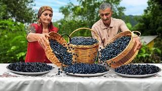 🫐 Blaubeeren ernten und ländliche Süßigkeiten für den Winter zubereiten