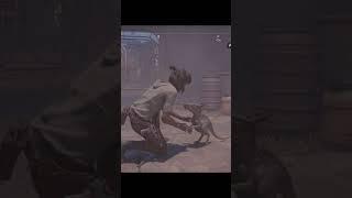 At Least You Can Pet The Space Kangaroos #starwarsoutlaws #shorts #gaming