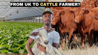 Why This Nigerian Man Left the UK to Start a Cattle Farm – His Story Will Shock You