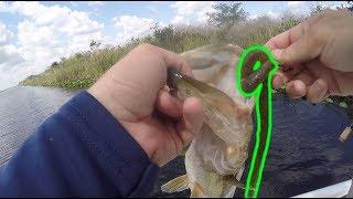 Catching Fish on SNAKE LURE ft. Donny Bass Everglades