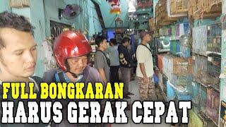 Banyak yang mewah bongkaran ambyar kenari ciblek gelatik manyar sogon crucuk jg ready